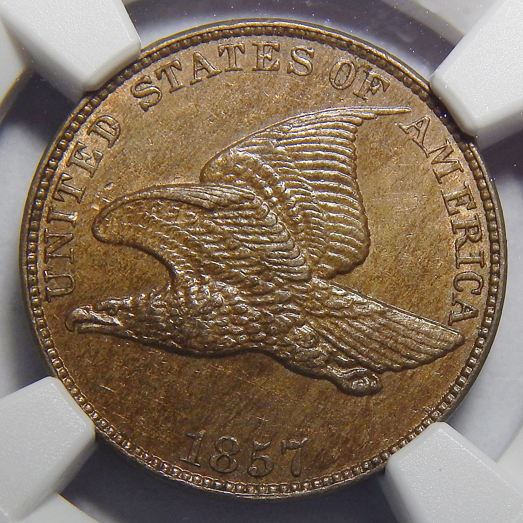 Flying Eagle Cent (1856-1858) - Coins for sale on Collectors Corner